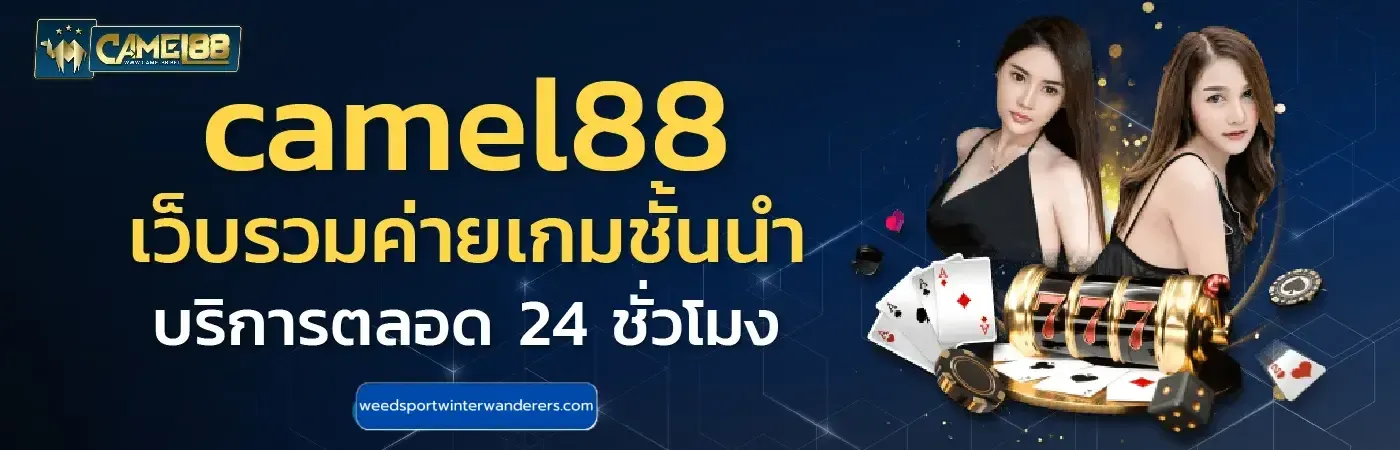 ทาง เข้า camel88